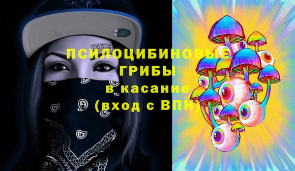 не бодяженный Бердск