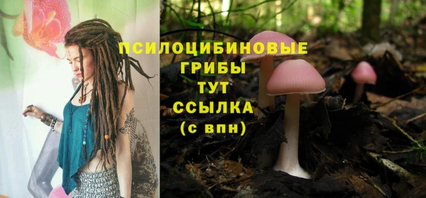 дмт Мегион