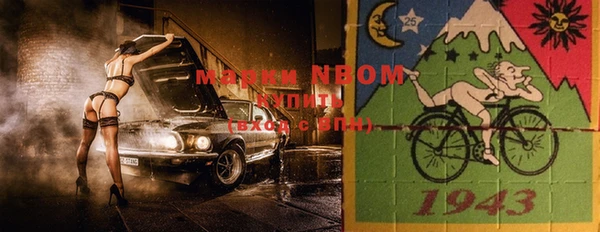 прущие грибы Ачинск