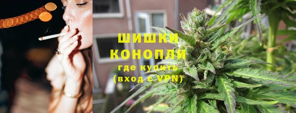 прущие грибы Ачинск