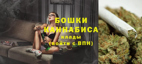 МДПВ Медвежьегорск