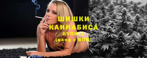 прущие грибы Ачинск